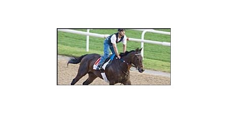 Brass Hat, here working up to Dubai World Cup on the track at Nad Al Sheba.