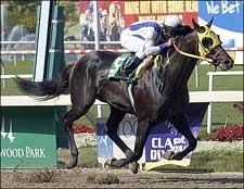 Pacific Classic, Not Haskell, for Surf Cat; Perfect Drift Also Going West Pacific Classic, Not Haskell, for Surf Cat; Perfect Drift Also Going West