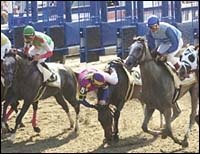 Tweedside Romps in CCA Oaks; Favorite Unseats Rider Tweedside Romps in CCA Oaks; Favorite Unseats Rider