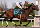 Blame outfinishes favorite Parading to win the Fayette at Lexington.<br><a target="blank" href="http://www.bloodhorse.com/horse-racing/photo-store?ref=http%3A%2F%2Fpictopia.com%2Fperl%2Fgal%3Fprovider_id%3D368%26ptp_photo_id%3D8591984%26ref%3Dstory">Order This Photo</a>