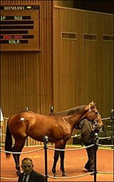 Keeneland Sale Remains Strong after Four Days Keeneland Sale Remains Strong after Four Days