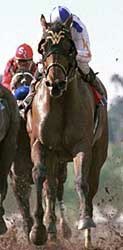Santa Anita Race Report: Old-Timers Day Santa Anita Race Report: Old-Timers Day