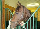 Haskin: Paynter Arrives at Fair Hill Haskin: Paynter Arrives at Fair Hill