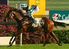 Sacred Kingdom Chases Champ Title Sacred Kingdom Chases Champ Title