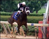 Oaklawn Park Report: Balto Star Repeats Oaklawn Park Report: Balto Star Repeats
