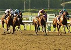 The Pro-ride surface at Santa Anita