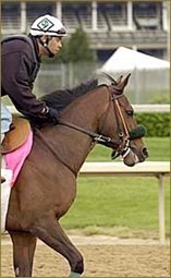 Elloluv Faces Top Field in Hirsch Handicap Elloluv Faces Top Field in Hirsch Handicap