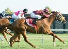 Grand Rapport Just Super in Kent Stakes Win Grand Rapport Just Super in Kent Stakes Win