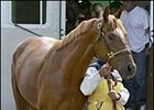 Greeley's Galaxy 'Smooth as Silk' for Malibu Greeley's Galaxy 'Smooth as Silk' for Malibu
