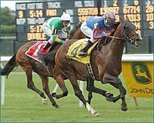 Man o'War Winner Magistretti Heading for BC Turf Man o'War Winner Magistretti Heading for BC Turf