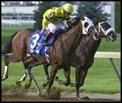 Breeders' Cup Classic Report, Sept. 25, 2001 Breeders' Cup Classic Report, Sept. 25, 2001