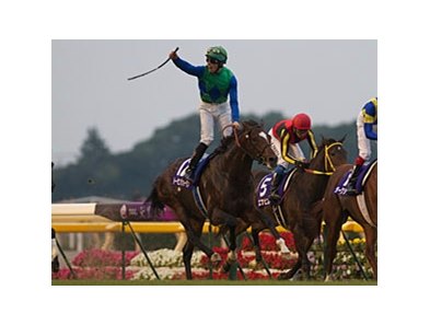 Tosen Jordan partnered with Italian jockey Nicola Pinna to upset a strong field in the 2011 Emperor's Cup at Tokyo Racecourse.
<br><a target="blank" href="http://www.bloodhorse.com/horse-racing/photo-store?ref=http%3A%2F%2Fpictopia.com%2Fperl%2Fgal%3Fprovider_id%3D368%26ptp_photo_id%3D9723033%26ref%3Dstory">Order This Photo</a>