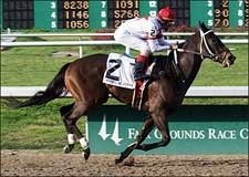 'Zophie Finds Distance Appealing in Silverbulletday 'Zophie Finds Distance Appealing in Silverbulletday