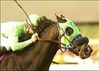 St Averil, with Tyler Baze aboard, runs to victory in the Santa Catalina Stakes, Saturday at Santa Anita.