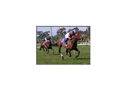 Astra, shown winning last year's Beverly Hills Handicap.