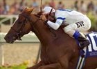 Grade 2 Turf winner Medici Code tries the dirt in the Indiana Derby <br><a target="blank" href="http://www.bloodhorse.com/horse-racing/photo-store?ref=http%3A%2F%2Fpictopia.com%2Fperl%2Fgal%3Fprovider_id%3D368%26ptp_photo_id%3D2169153%26ref%3Dstory">Order This Photo</a>