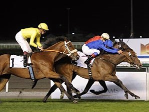 Aspectoflove Determined Winner of Cape Verdi Aspectoflove Determined Winner of Cape Verdi