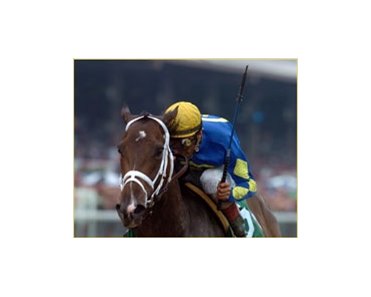 Ashado adds to magical weekend at Spa for Pletcher and Velazquez with decisive Go for Wand win.