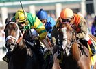 NZ-Bred Hoofit Edges Aikenite to Win Phoenix NZ-Bred Hoofit Edges Aikenite to Win Phoenix