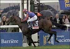 Hurricane Run Voted Cartier European Horse of the Year Hurricane Run Voted Cartier European Horse of the Year