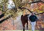 Keeneland November Sale
