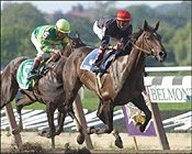 Champion Storm Flag Flying Works Toward Acorn Champion Storm Flag Flying Works Toward Acorn