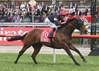 All Silent pulls away in the Emirates Stakes at one mile at Flemington in Australia.