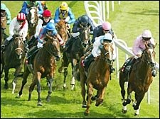 Stoute-Trained Kris Kin Wins English Derby Stoute-Trained Kris Kin Wins English Derby