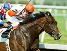 Steve Haskin's Derby Report: Romans Issues Warning Steve Haskin's Derby Report: Romans Issues Warning