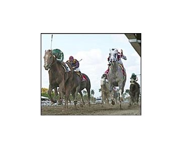 Friends Lake, left, leads Value Plus, second from right, to victory in the Florida Derby.