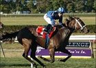 Lahudood fills Flower Bowl for surprised trainer.<br><a target="blank" href="http://www.bloodhorse.com/horse-racing/photo-store?ref=http%3A%2F%2Fpictopia.com%2Fperl%2Fgal%3Fprovider_id%3D368%26ptp_photo_id%3D2387137%26ref%3Dstory">Order This Photo</a>