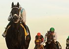 Stunning Stag leaves the rest behind in the Autumn Stakes.