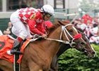 Woodford Reserve winner Sky Conqueror faces seven foes in Northern Dancer return.