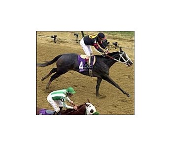 Victory by Macho Uno in the Breeders' Cup Juvenile helped earn him the top spot on the Experimental Free Handicap.