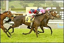 Good Student Does the Teaching in Tuzla Handicap Good Student Does the Teaching in Tuzla Handicap