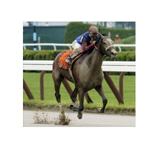 Society Selection wins the Test Stakes, Saturday at Saratoga.