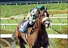 Puxa Saco and Mike Smith win the Desert Stormer Handicap, Sunday at Hollywood Park.