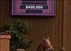 Keeneland Sale on Record Pace After Strong Sixth Session Keeneland Sale on Record Pace After Strong Sixth Session