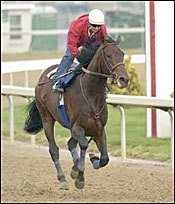 Indian Express Drills at Churchill; Albarado Named for Offlee Wild Indian Express Drills at Churchill; Albarado Named for Offlee Wild