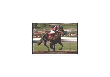 You, shown winning the Las Virgenes, defeated Habibti by a half-length in the Santa Anita Oaks.