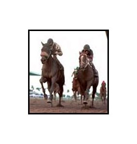 Sir Bear (left), passes Red Bullet to win the Skip Away.