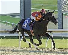 Baffert's Midnight Lute Dominates Perryville S. Baffert's Midnight Lute Dominates Perryville S.