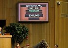 Glasgow's Gold Second Horse to Fetch $300,000 Glasgow's Gold Second Horse to Fetch $300,000