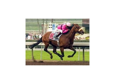 Strub Stakes winner High Limit hopes to continue his 4-year-old success in Saturday test.