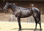 Double-Digit Increases for Tatts July Day One Double-Digit Increases for Tatts July Day One