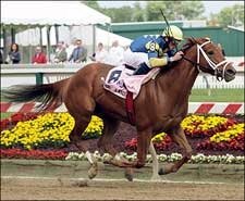 Pool Land Pulls Away in BC Distaff Handicap Pool Land Pulls Away in BC Distaff Handicap