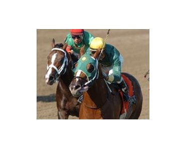 Santana Strings (right) hangs on to win the Amsterdam.
