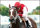 Brave Raj winner Silk Ridge will try to sweep the Florida Stallion Series in her division.