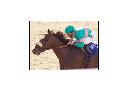 Tiago and Mike Smith win the Swaps Stakes, Saturday at Hollywood Park.<br><a target="blank" href="http://www.bloodhorse.com/horse-racing/photo-store?ref=http%3A%2F%2Fpictopia.com%2Fperl%2Fgal%3Fprovider_id%3D368%26ptp_photo_id%3D1729429%26ref%3Dstory">Order This Photo</a>