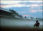 The Saratoga meet is off to a beautiful start.<br><a target="blank" href="http://www.bloodhorse.com/horse-racing/photo-store?ref=http%3A%2F%2Fpictopia.com%2Fperl%2Fgal%3Fprovider_id%3D368%26ptp_photo_id%3D408404%26ref%3Dstory">Order This Photo</a>
